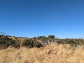 Vistas